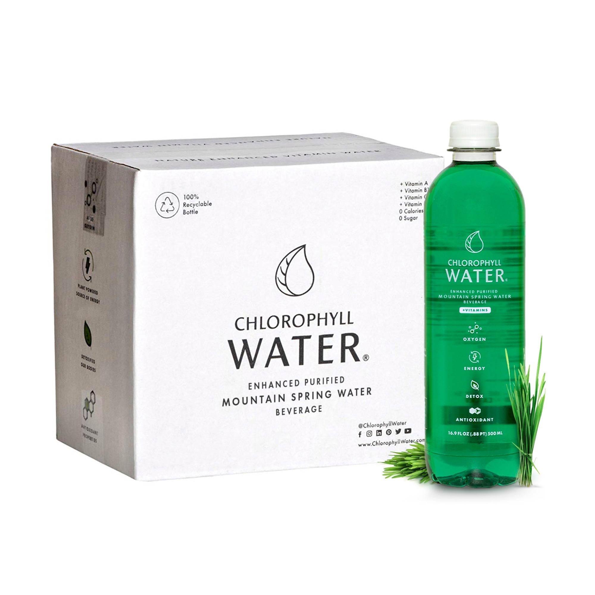Chlorophyll Water® | Purified Mountain Spring Water with Essential Vitamins