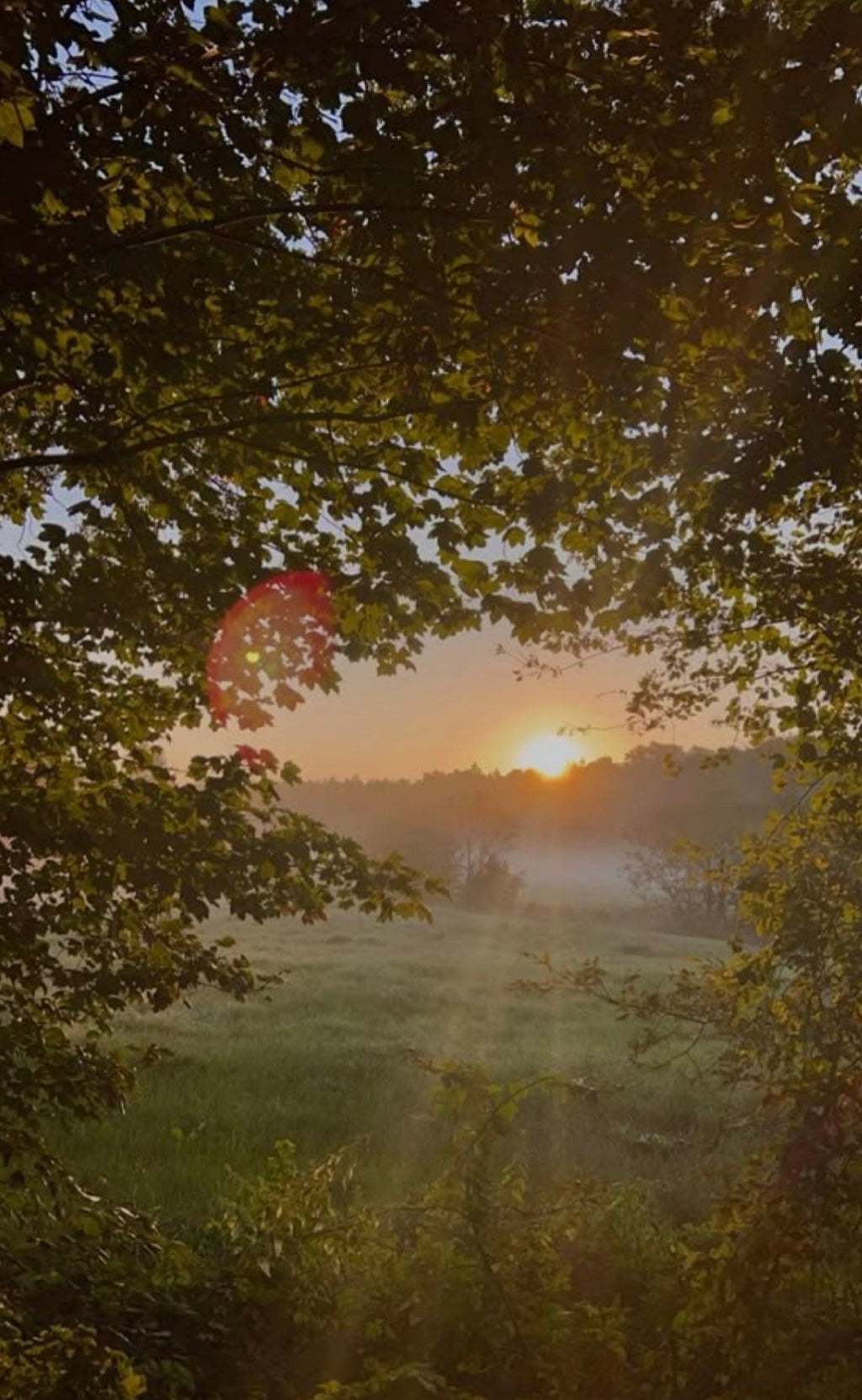 Slow Mornings 4 oz Candle