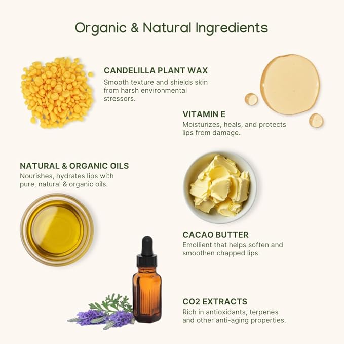 ILIKA Lip balm, Organic, 100% Plant-based, Natural Lip Treatment, COSMOS Certified Organic, PETA Certified Vegan & Cruelty-Free 2 Pack, Ginger Lemon & Almond Cardamom Rose