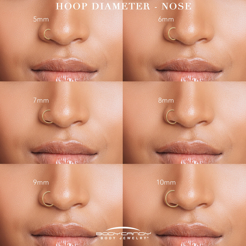 Single Row Micro Gem Implant Grade Titanium Hinged Double Hoop Nose Ring