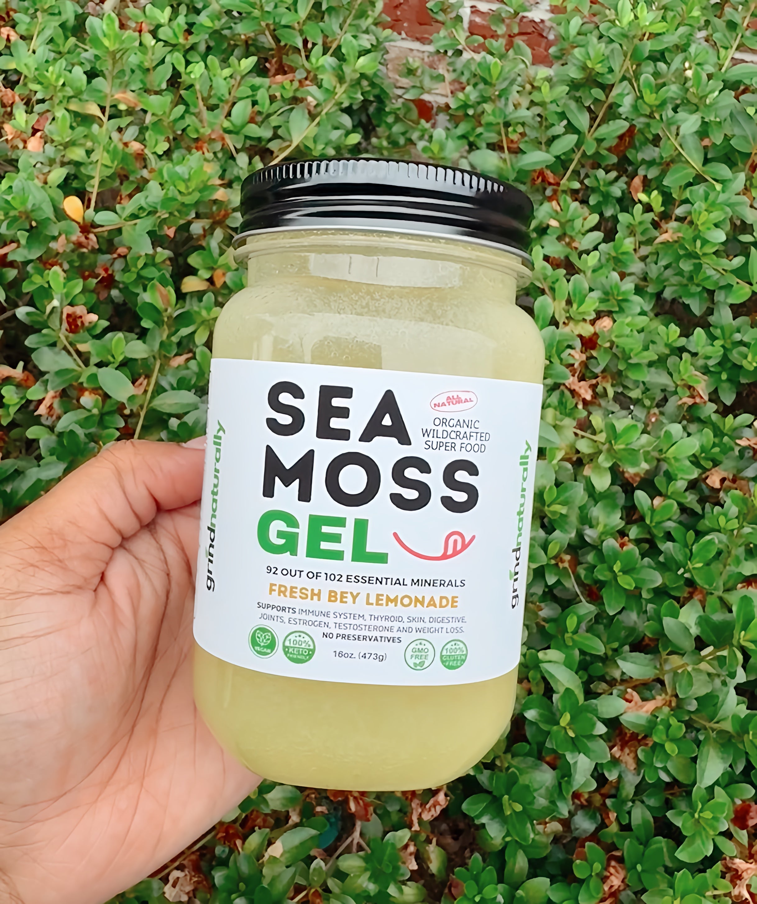 Flavored Sea Moss Gel - Dr. Sebi Inspired 100% Raw Organic - Wild Harvested Sea Moss