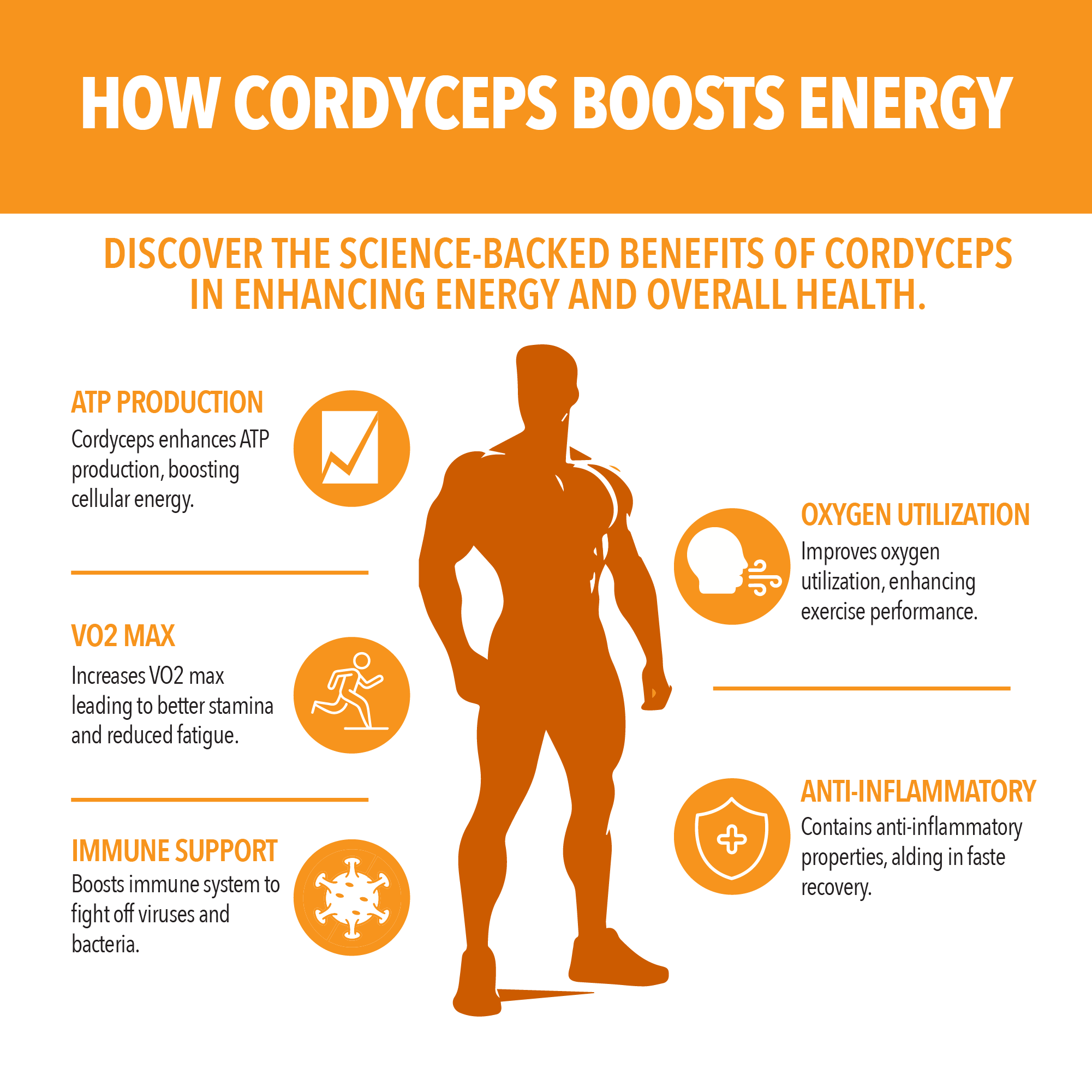Cordyceps Mushroom Capsules