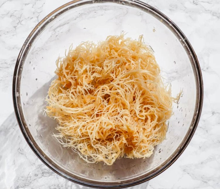 Raw Organic Sea Moss