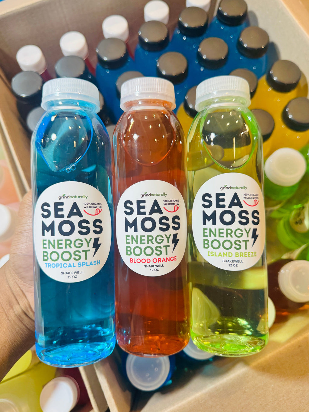 Sea Moss Energy Drink - 12oz