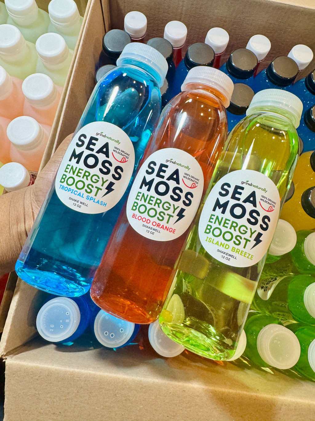 Sea Moss Energy Drink - 12oz