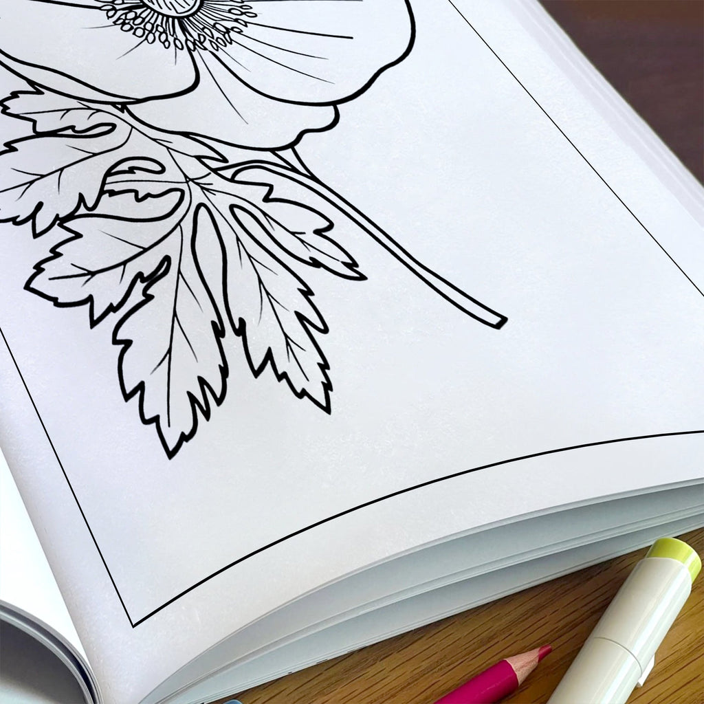 Garden Joy Spring Coloring Pages – 48 Pages – Lovely Flowers, Fresh Garden Designs, Spring Art – For Adults