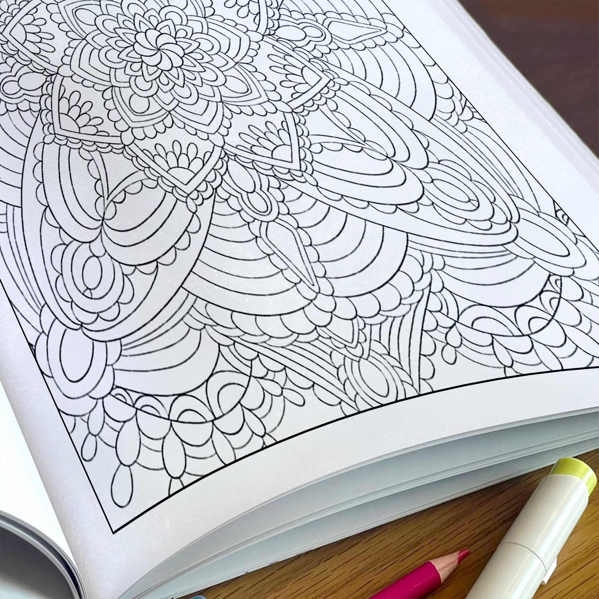 Blooming Symmetry Coloring Pages – 48 Pages – Floral Mandalas, Intricate Designs, Relaxing Art – For Adults