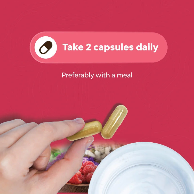 Angelica, Chasteberry & Black Cohosh Extracts, Complete Herbal Supplement for Women's Menopause - Multi-Benefit, 90 Capsules