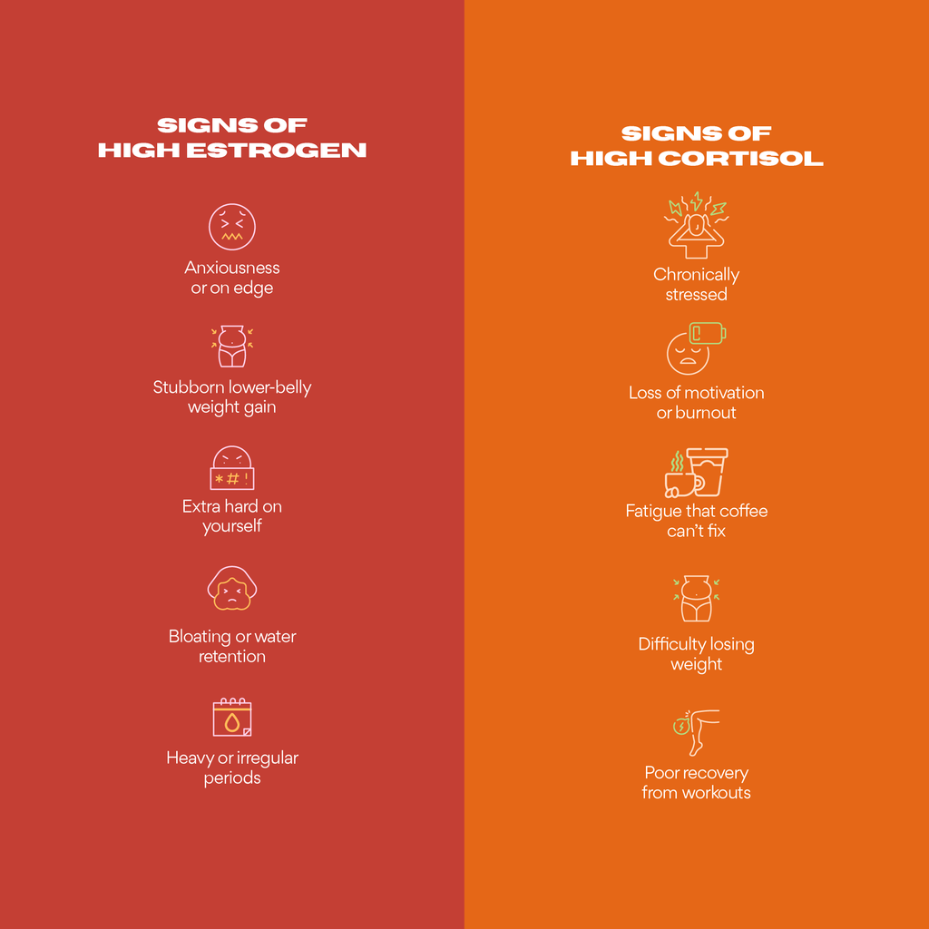 The Balanced Baddie Bundle