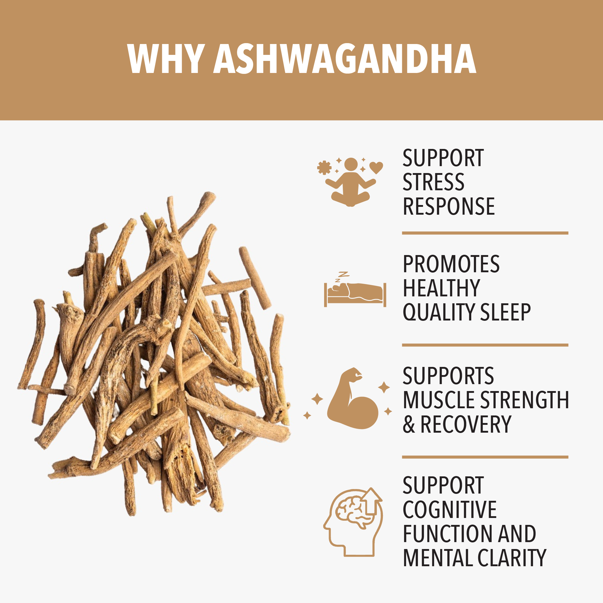 Ashwagandha Capsules