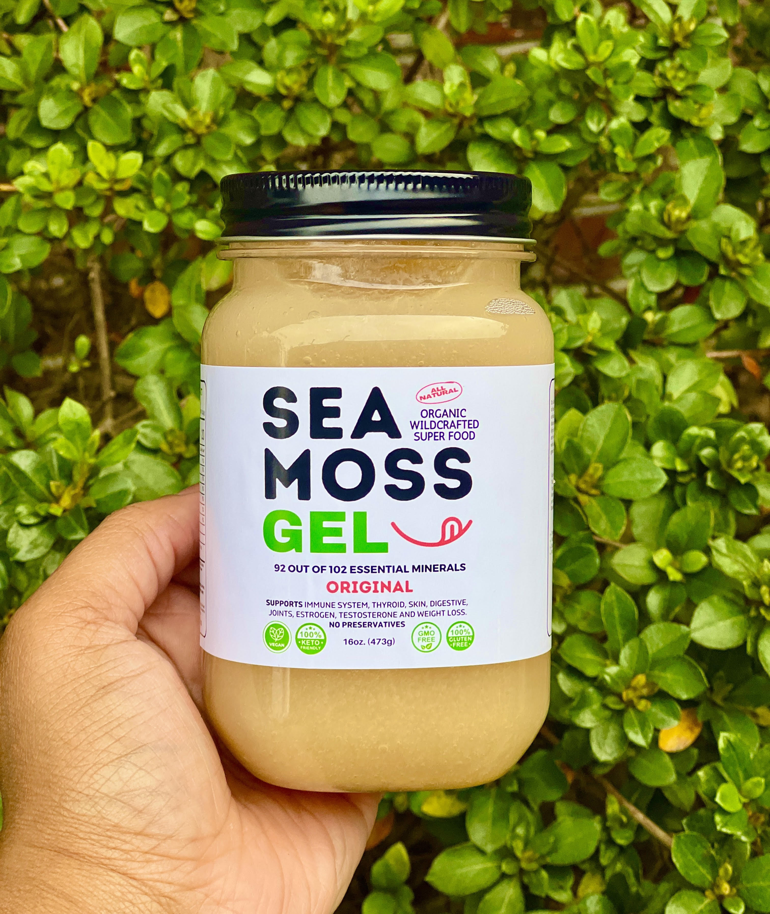 Flavored Sea Moss Gel - Dr. Sebi Inspired 100% Raw Organic - Wild Harvested Sea Moss