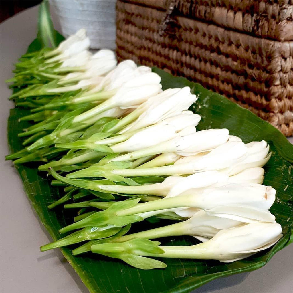 MONOI TAHITI – Natural Deodorant - Plastic Free - Aluminum-Free - 3.2 oz