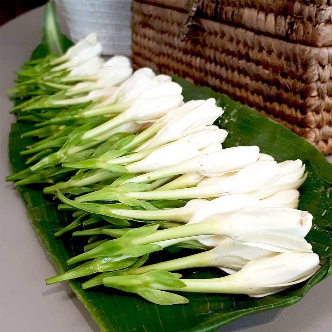 MONOI TAHITI – Natural Deodorant - Plastic Free - Aluminum-Free - 3.2 oz